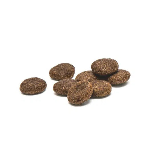 PlaqueOff Sanck Dental Croq para perros grandes - 150 Grs. medianos y grandes. Elimina la placa, el sarro y el mal aliento.