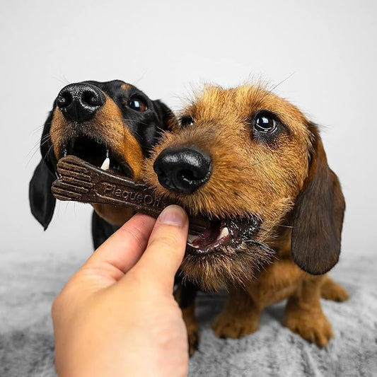 PlaqueOff 20 Mini huesos para perritos - 100% vegetal. Elimina la placa, el sarro y el mal aliento.